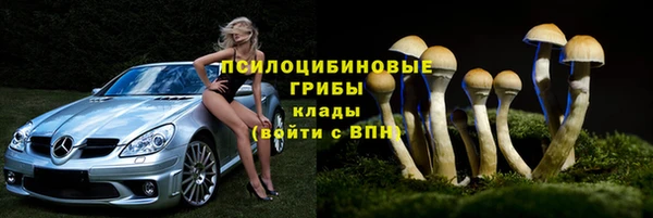 спиды Зеленодольск