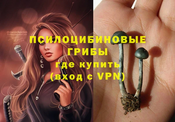 дживик Зеленокумск