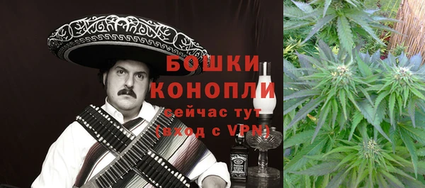 дживик Зеленокумск